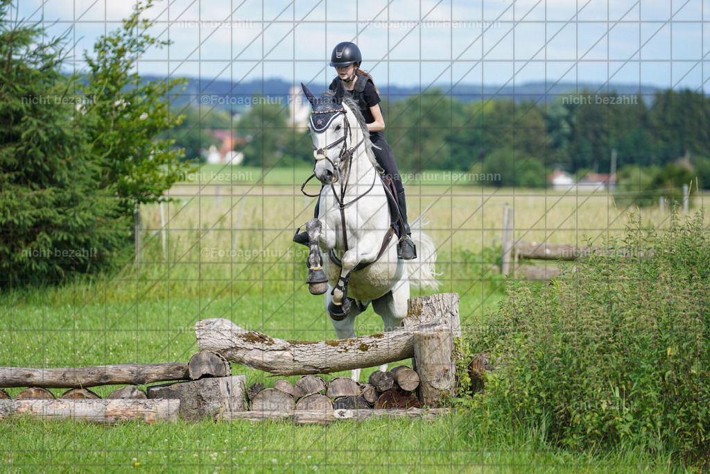 20240622-FAH08036 | Turnierfotografen Bayern, Reitsportbilder aus dem Geländekurs mit Felix Etzel auf dem Gut Waitzacker 2024