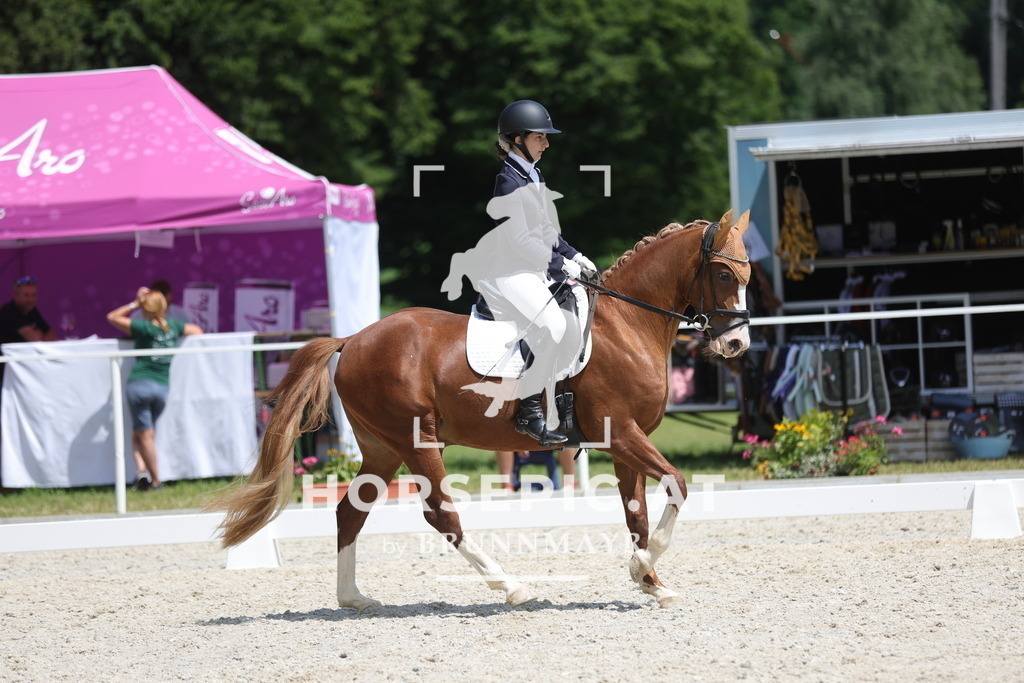 0P6A1075 | Willkommen bei Brunnmayr - Design & Fotografie – Ihrem Spezialisten für Reitturniere und Pferdeveranstaltungen in Oberösterreich, Salzburg und Bayern! Seit über 17 Jahren sind wir leidenschaftlich dabei.
