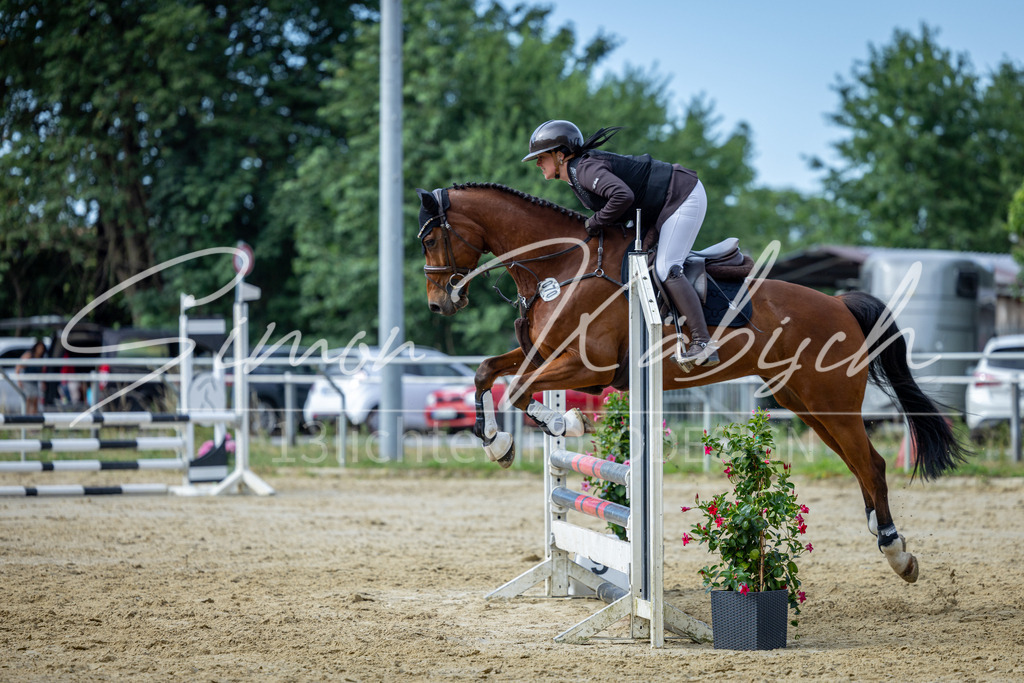 20260704-_3LI6660 | Tierfotografie Pferde, Hunde, Katzen, Haustiere.
Turnierfotografie Reitturniere, Reiten, Springreiten, Dressur in Hanau, dem Main-Kinzig-Kreis und dem Rhein-Main- Gebiet um Frankfurt