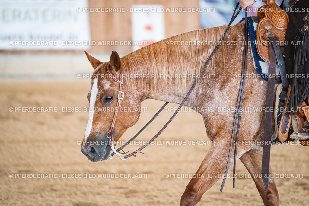 DSC08115 | Pferdegrafie