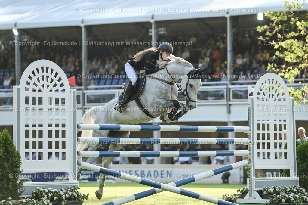 20230526_Pferdenacht_0016 | equistock