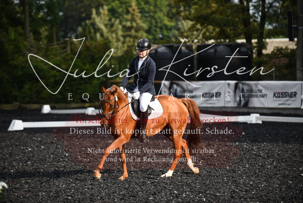 DSC_3456 | Pferde- und Turnierfotografie in Westsachsen. Pferdeportraits, Auftragszeichnungen und intuitive Kunst.