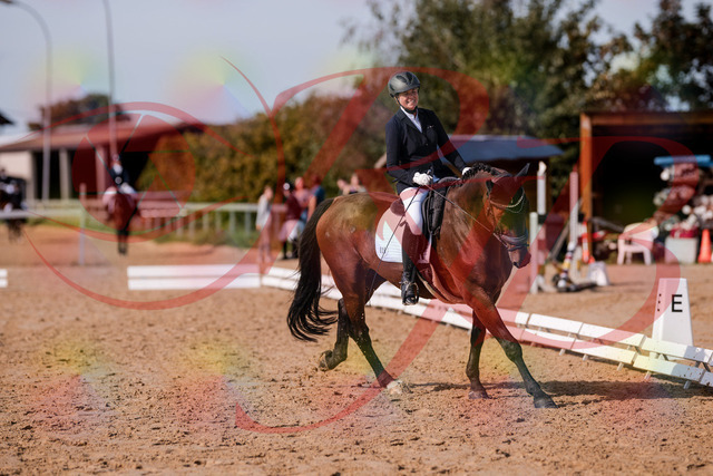 2026_10_03_Siefer-Hof_123141_Z81_30265167 | Professionelle Reitsport-, Turnier- und Eventfotografie von Robert Broda. Galerien mit ausgewählten und bearbeiteten Bildern direkt online ansehen und bestellen.