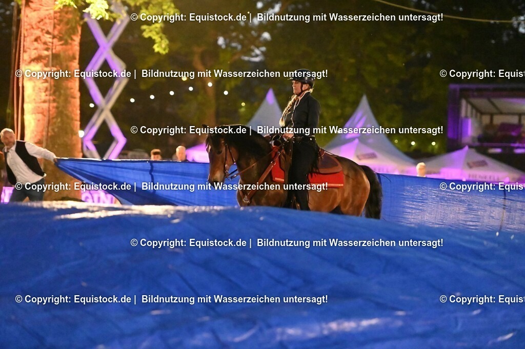 20230526_Pferdenacht_1050 | equistock