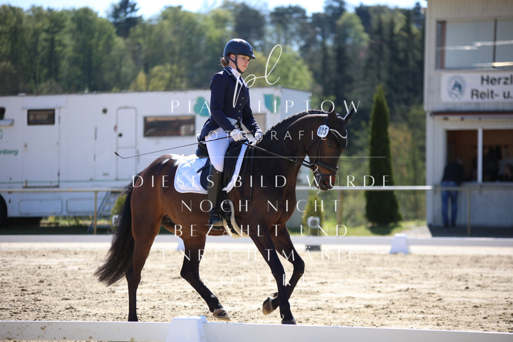 IMGT9738 | pl-fotografie