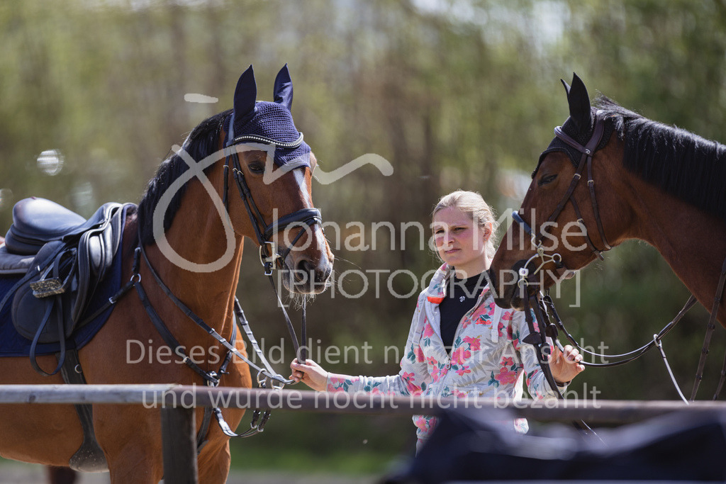 230501_SpengeW_M2St-100 | Deine schönsten Turniermomente als professionelle Fotos! Entdecke hochwertige Pferdesport-Fotografie im Online-Shop. Jetzt Fotos finden & bestellen!