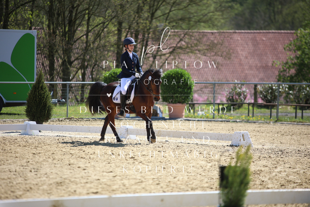 IMGT7663 | pl-fotografie