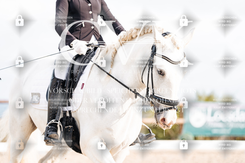 CK901255 | Turnierfotografie Pferdefotografie Trier Rheinland-Pfalz Pferdesport Reitsport Tierfotografie Sportfotografie Pferdevideo Pferdevideografie Equestrianvideography equestrianphotography  - Realisiert mit Pictrs.com