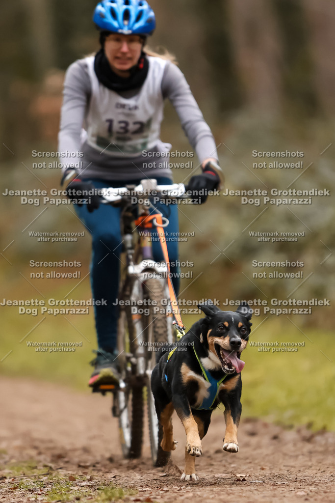 Dog Paparazzi - Speedhunter Mannheim  2025-371 | Dog Paparazzi Jeanette Grottendiek Fotografie & Videografie