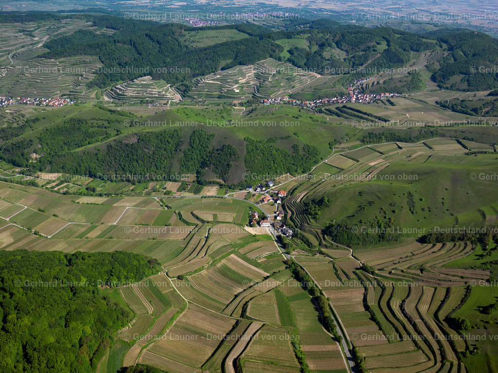 3096255 | Altvogtsburg, Badberg, Kaiserstuhl