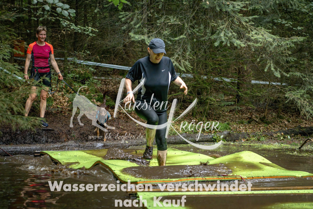 1538_ZZ91601-Bearbeitet | kk-dogfotos