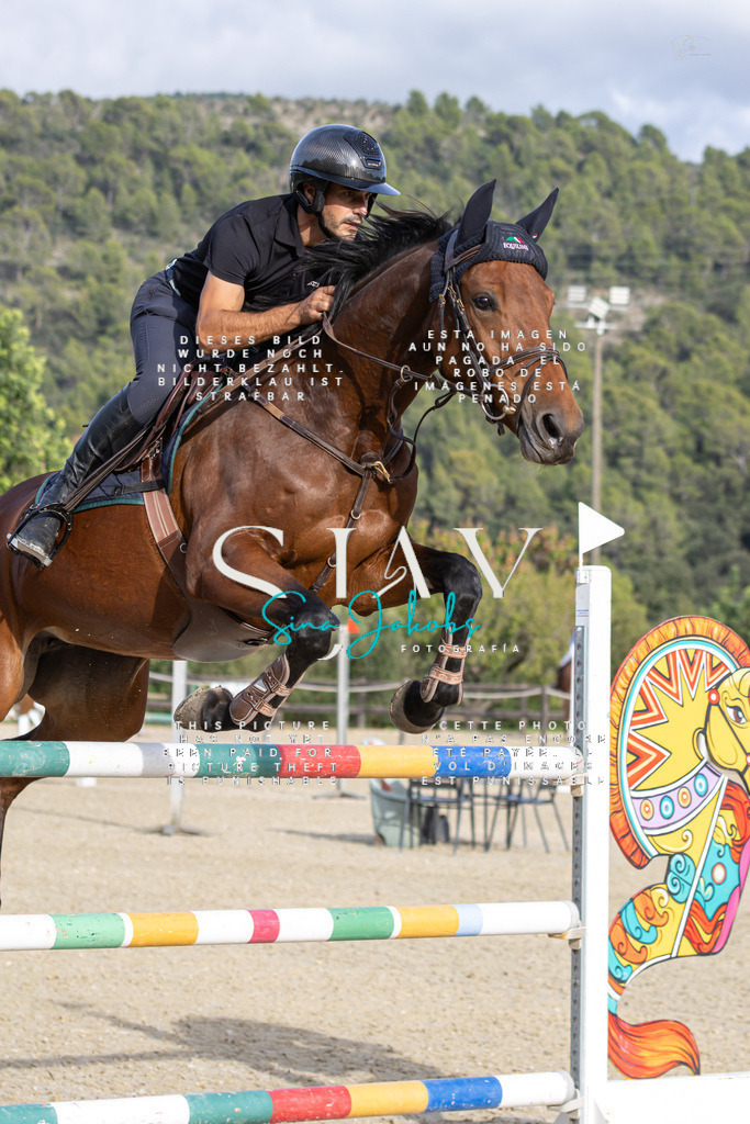 IMG_4372 | s-jay-photography - Realisiert mit Pictrs.com