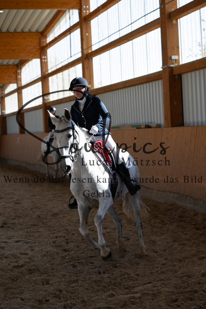 A7V02034 | Pferdefotograf