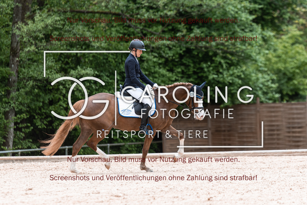 DSC_6771 | Turnierfotografin Carolin Gieschke,Reitsport Turnierfotografie Carolin G Fotografie | Turnierfotos aus Kirchheim/Teck, Esslingen, Stuttgart und dem Bodenseekreis