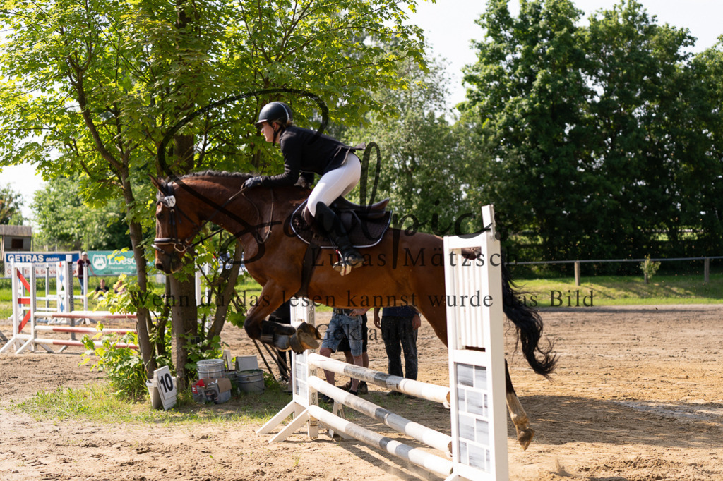 A7507372 | Turnier/Reitfotograf