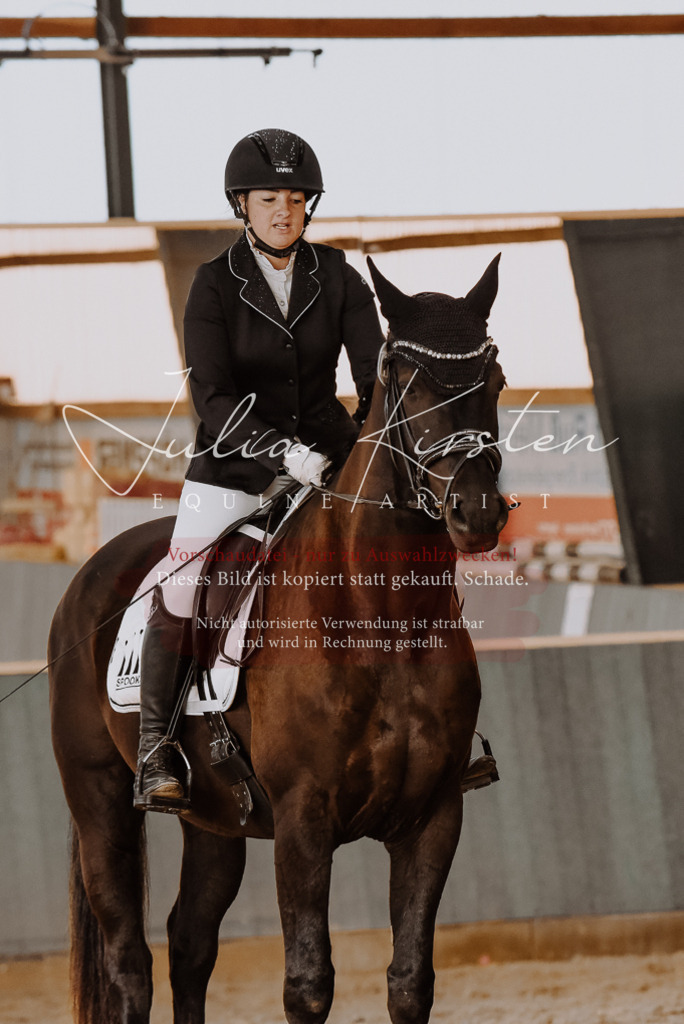 DSC_7585 | Pferde- und Turnierfotografie in Westsachsen. Pferdeportraits, Auftragszeichnungen und intuitive Kunst.