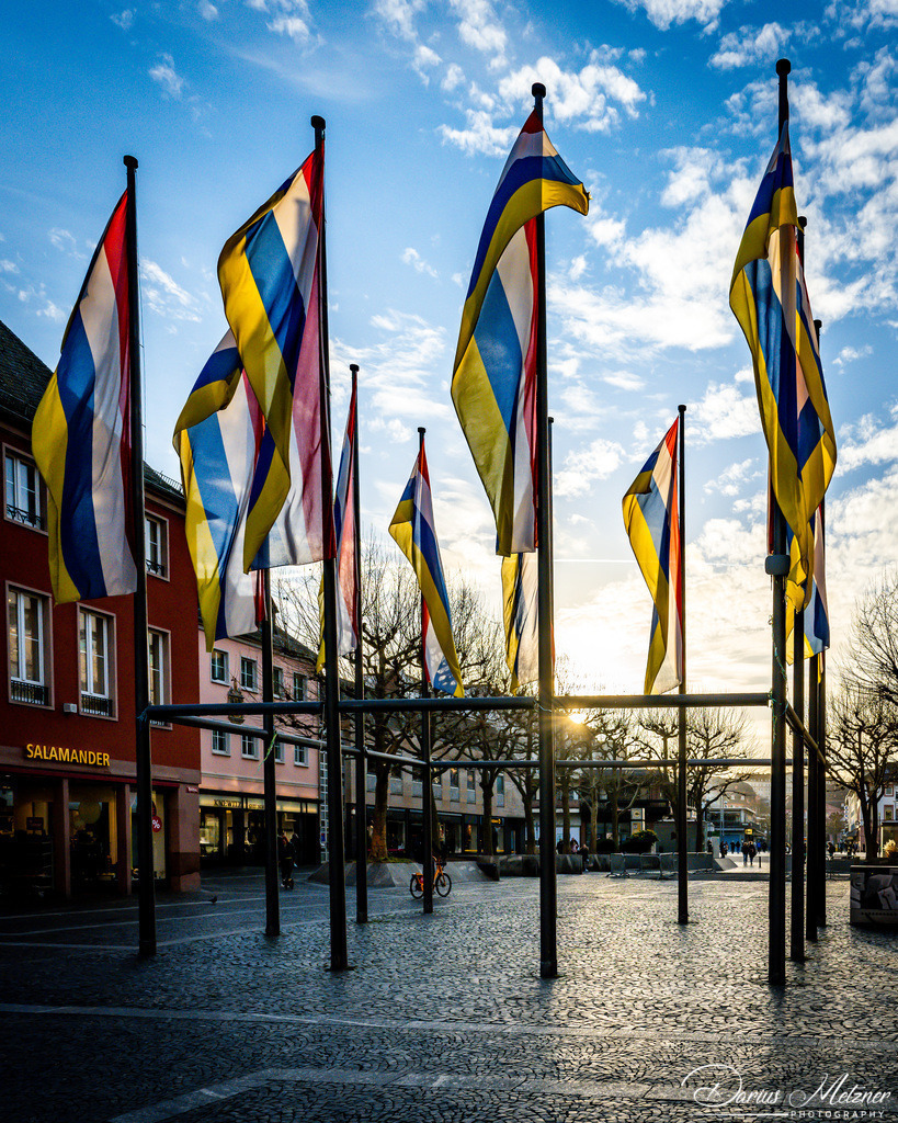 Die Mainzer Fastnacht | Die Mainzer Fastnacht