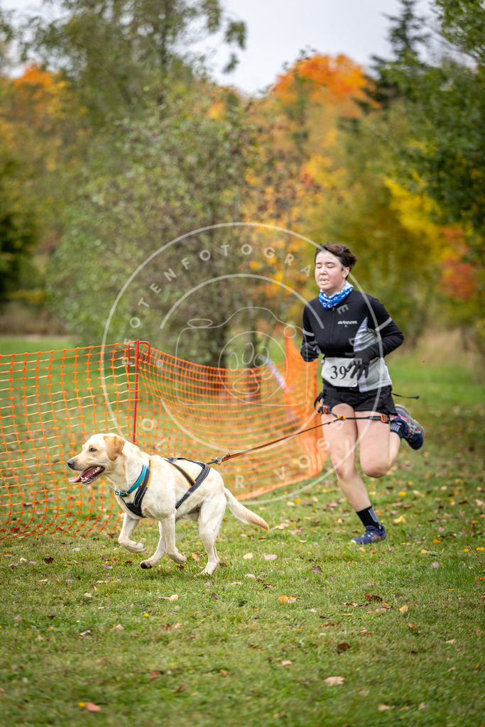 Pfotenfotografie_DV3A2278 | Hundefotografie, Tierfotograf, Pfotenfotografie, Fotoshooting Hund, Hunde Portrait, Hundesport, Hundeportraits, Heideshooting, Hunde, Sportfotograf, Hundefotograf, Turnierhundsport, THS,  - Realisiert mit Pictrs.com