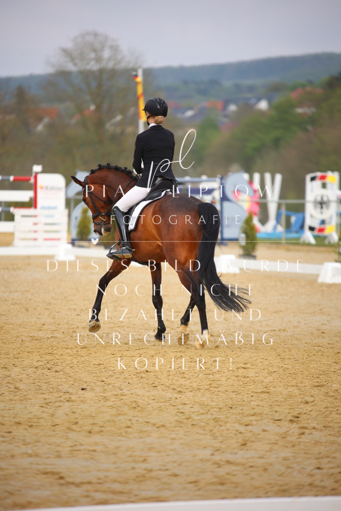 IMGT7919 | pl-fotografie