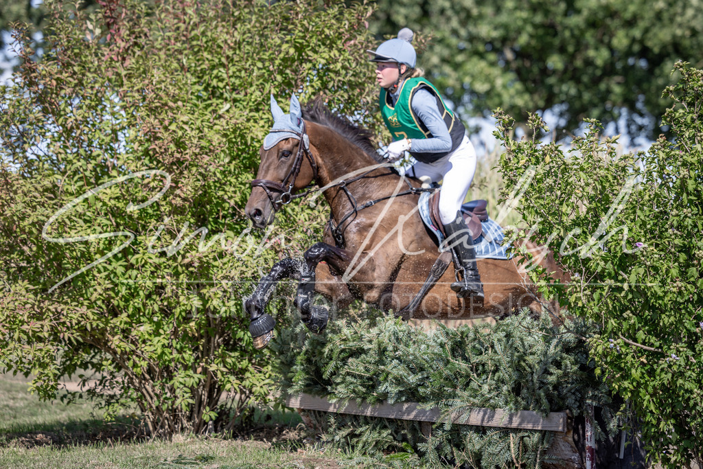 20260906-_3LI5082 | Tierfotografie Pferde, Hunde, Katzen, Haustiere.
Turnierfotografie Reitturniere, Reiten, Springreiten, Dressur in Hanau, dem Main-Kinzig-Kreis und dem Rhein-Main- Gebiet um Frankfurt