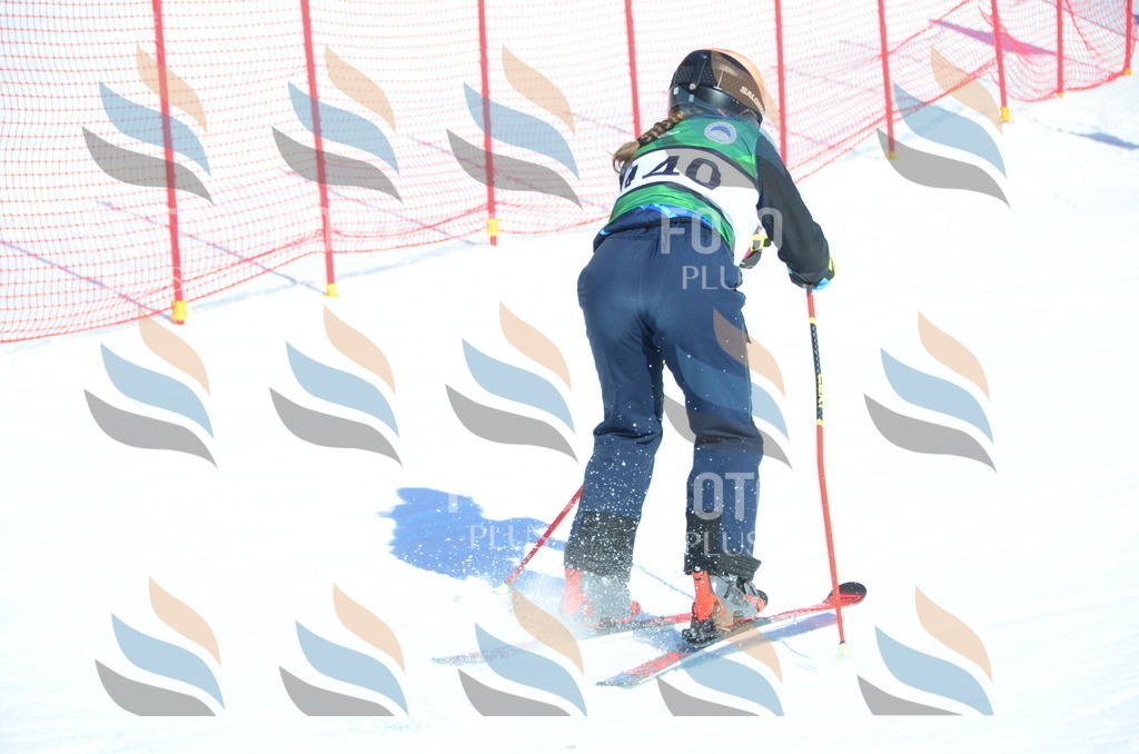 C6036 | holidayphoto