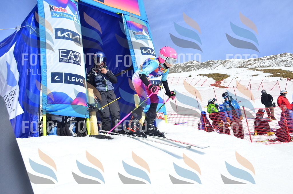 _ELE1031 | holidayphoto