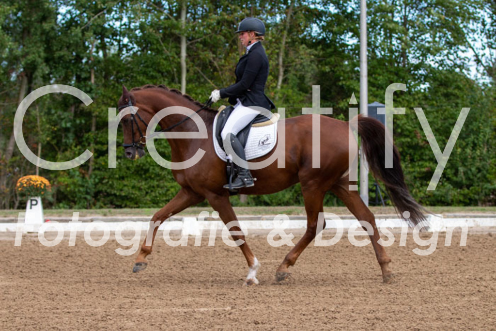 IMG_3809 | Creatify Fotografie