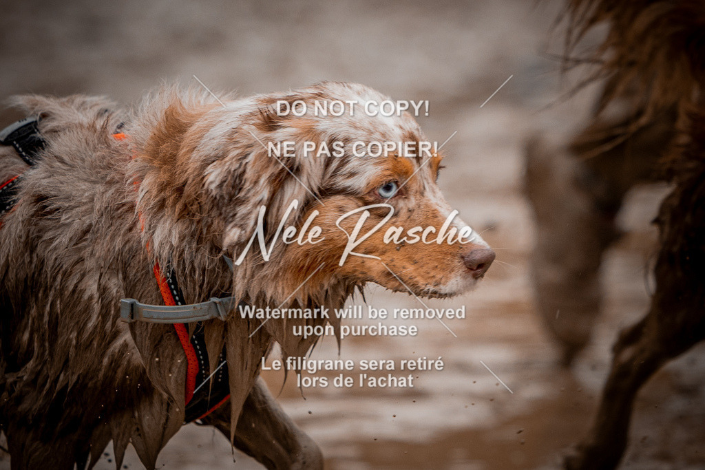 nelerasche_Creepy2025_Sa12-13_127 | nelerasche