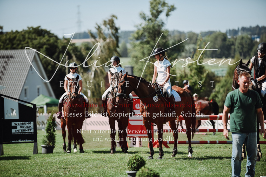DSC_3321 | Pferde- und Turnierfotografie in Westsachsen. Pferdeportraits, Auftragszeichnungen und intuitive Kunst.