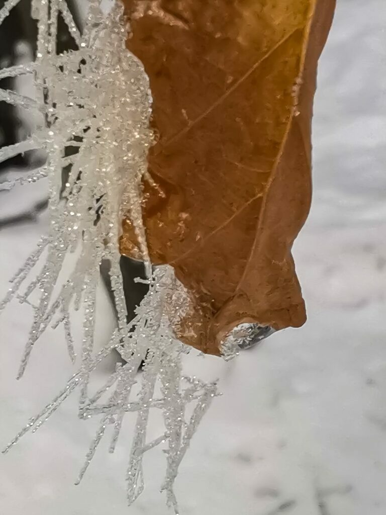 PSX_20221218_234658 | mtkfoto_ - Realisiert mit Pictrs.com