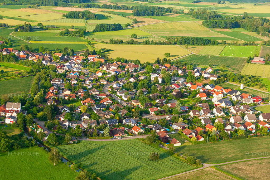 Luftbild: Ortsansicht von Südwesten im Ortsteil Diersheim in Rheinau im Bundesland Baden-Württemberg in Deutschland. Foto: IMG_28886.jpg vom 14.06.2010 durch Werner Riehm/FLY-FOTO.de