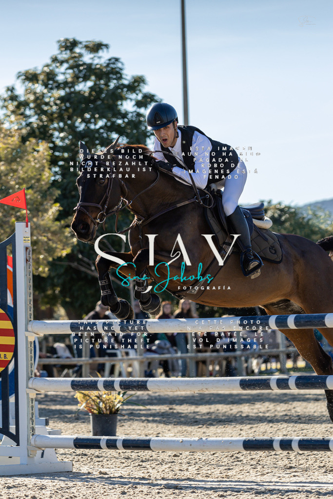 IMG_1963 | s-jay-photography - Realisiert mit Pictrs.com