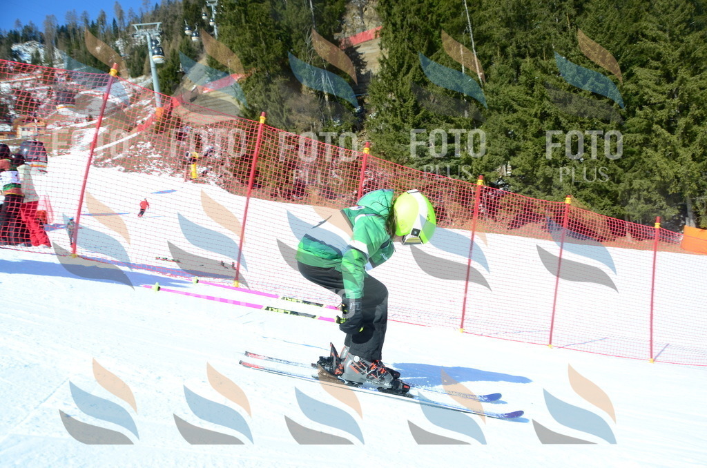 C5745 | holidayphoto