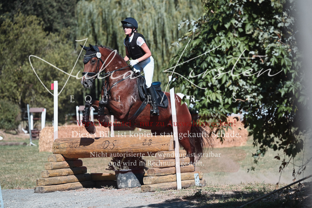 DSC_8607 | Pferde- und Turnierfotografie in Westsachsen. Pferdeportraits, Auftragszeichnungen und intuitive Kunst.