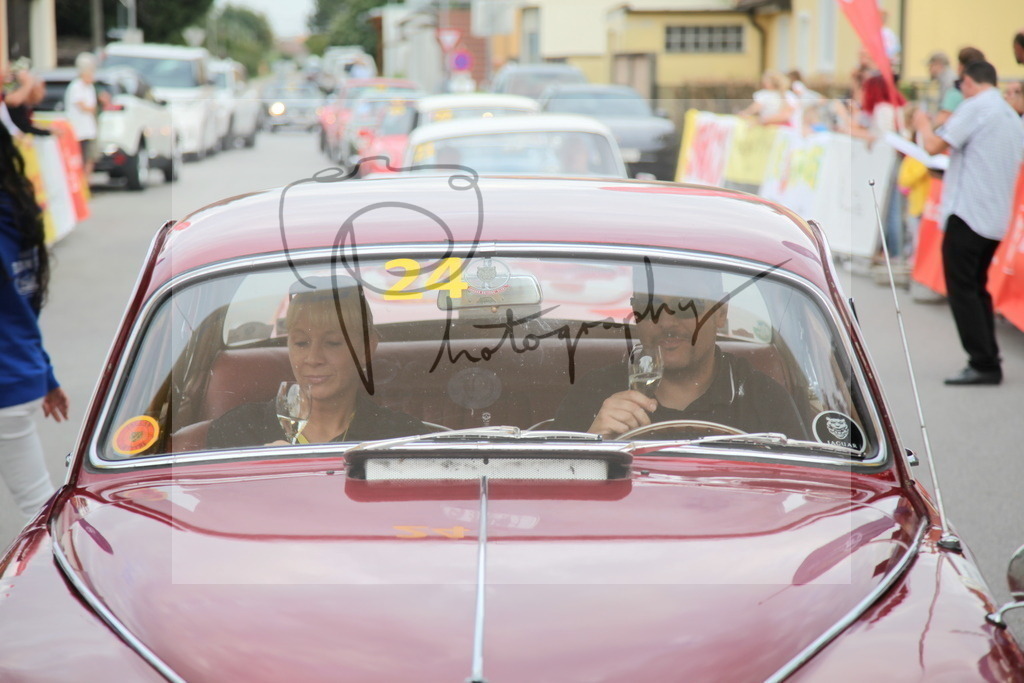 IMG_6081 | Gerhard Witt