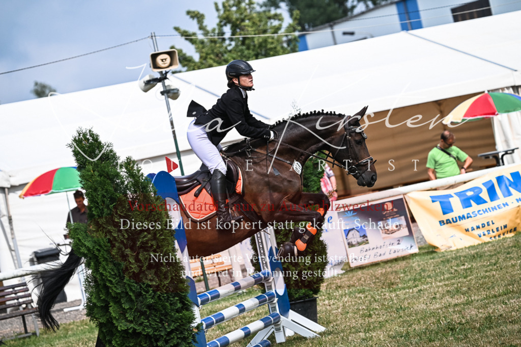 DSC_8279 | Pferde- und Turnierfotografie in Westsachsen. Pferdeportraits, Auftragszeichnungen und intuitive Kunst.