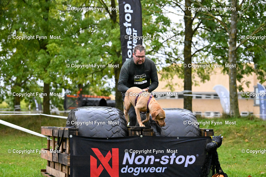 DSC_1218 | Hallo und herzlich Willkommen auf meiner Shop-Seite Fynn Most.

Ich wünsche Dir viel Spaß beim stöbern durch die Bilder, wenn Du Fragen hast oder Bilder vermisst, kannst du mir gerne eine Nachricht schreiben. - Realisiert mit Pictrs.com