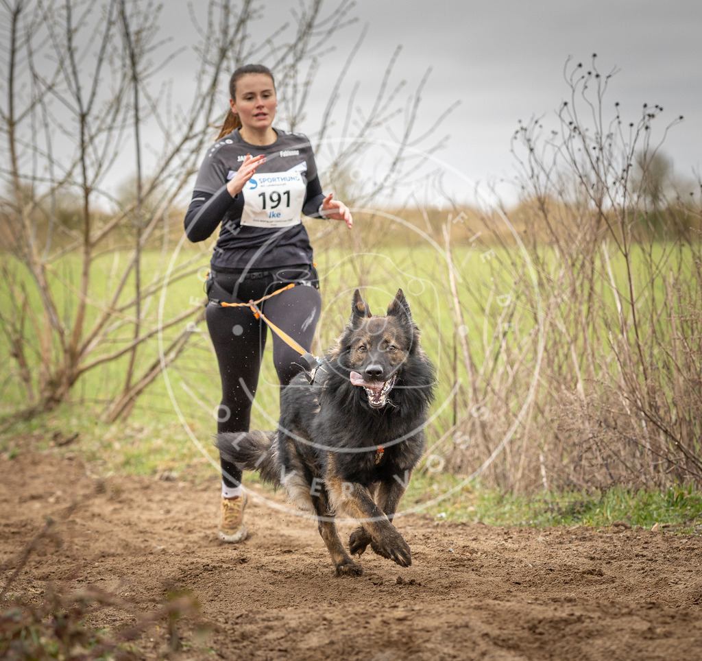 DV3A2185 | Hundefotografie, Tierfotograf, Pfotenfotografie, Fotoshooting Hund, Hunde Portrait, Hundesport, Hundeportraits, Heideshooting, Hunde, Sportfotograf, Hundefotograf, Turnierhundsport, THS,  - Realisiert mit Pictrs.com