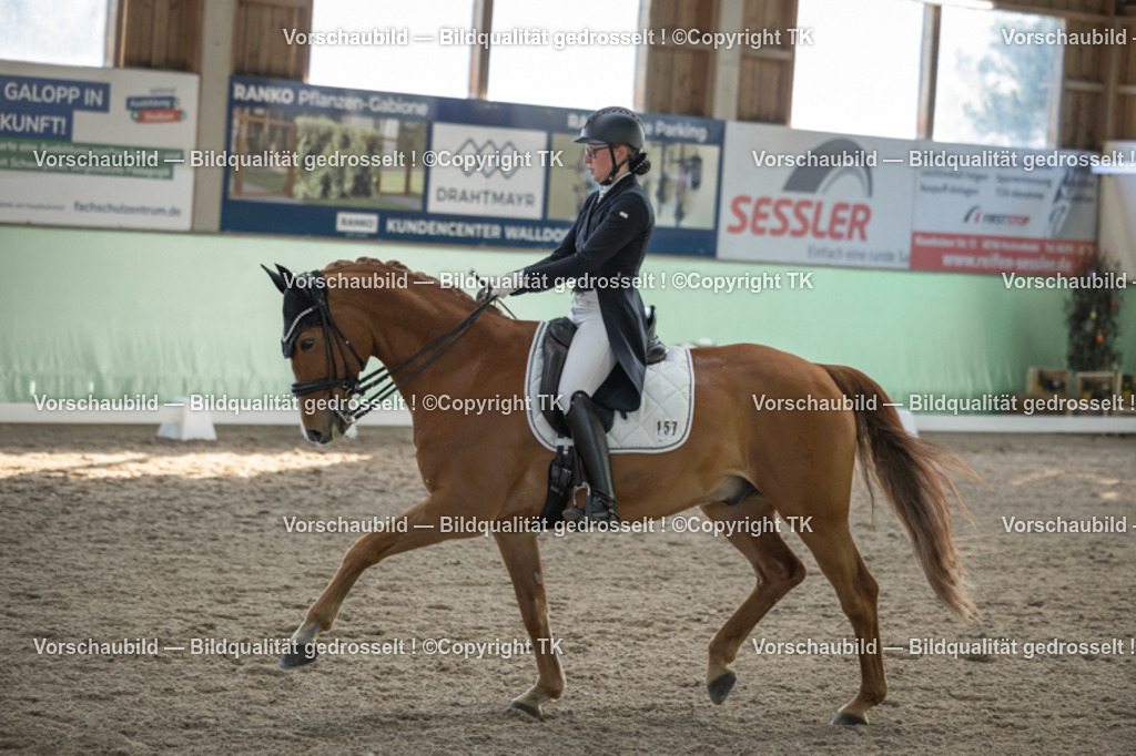 _D5A0451 | Emotionale Pferde- & People-Fotografie rund um Heidelberg, Leimen & Umgebung. Natürliche Fotos von Pferd, Mensch & Familie. Jetzt Termin sichern!