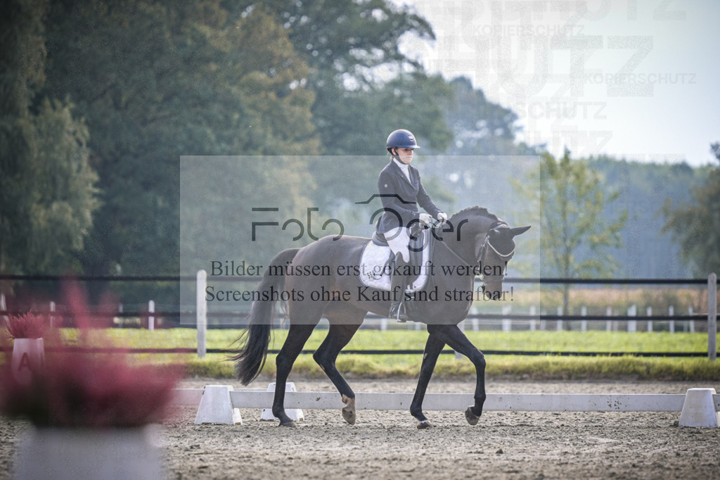 DOS_B221 | Entdecke hochwertige Reitturnierfotos von Foto Oger. Professionell, emotional und authentisch – jetzt Lieblingsmomente im Shop bestellen.Deutschlandweite Turnierfotografie. - Realisiert mit Pictrs.com