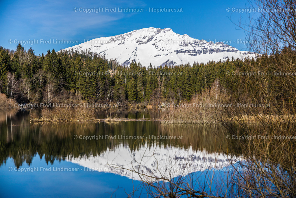 Otscher  (45) | Fotos und Fotoprodukte - Realisiert mit Pictrs.com