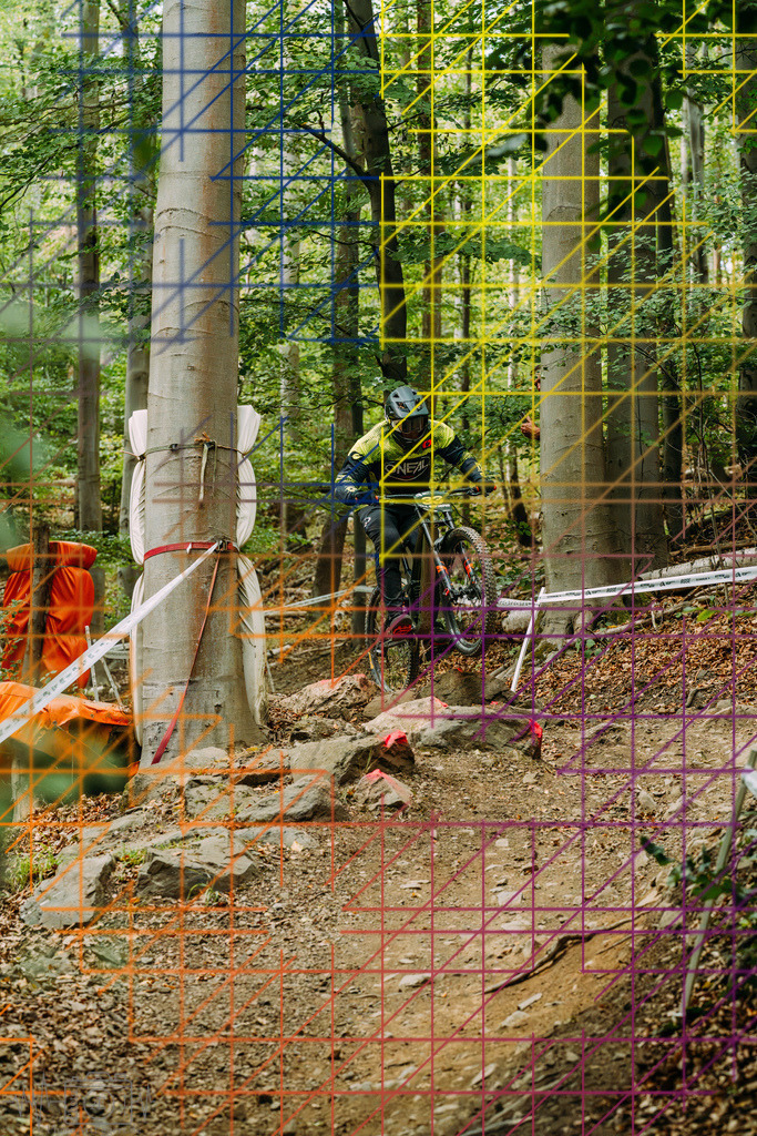 PAE-2247 | Einzigartige Fotokunst für dein Zuhause: Entdecke hochwertige Wandbilder, edle Prints und emotionale Motive von Wildlife, Natur und Landschaften - Realisiert mit Pictrs.com