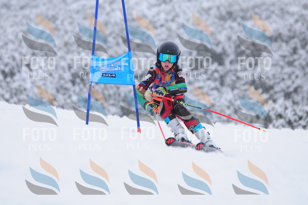 C3106 | holidayphoto