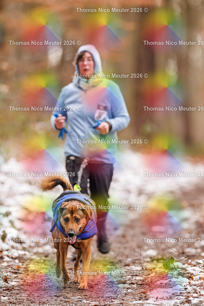 Thomas_Nico_Meuter(C)_223A9360 | Bild von Thomas Nico Meuter - Realisiert mit Pictrs.com