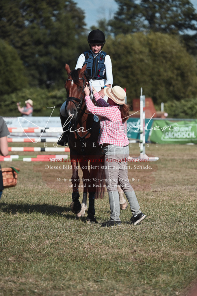 DSC_8853 | Pferde- und Turnierfotografie in Westsachsen. Pferdeportraits, Auftragszeichnungen und intuitive Kunst.