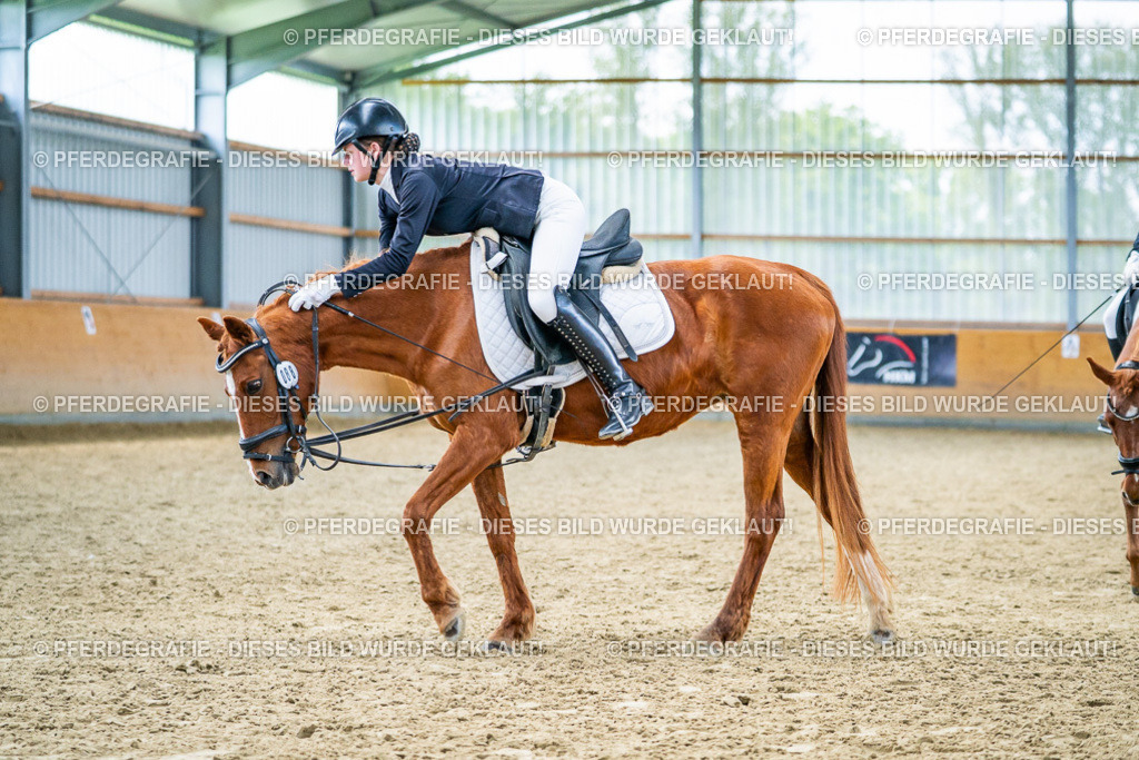 DSC04038 | Pferdegrafie