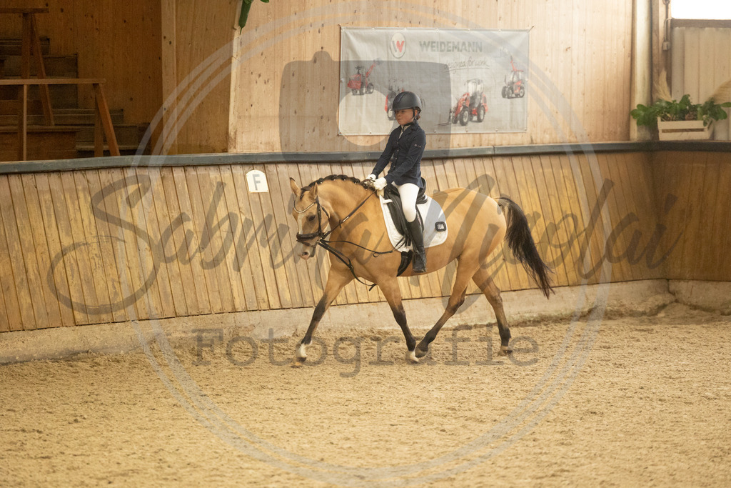 994A4330 | sabrinanicolaifotografie - Realisiert mit Pictrs.com