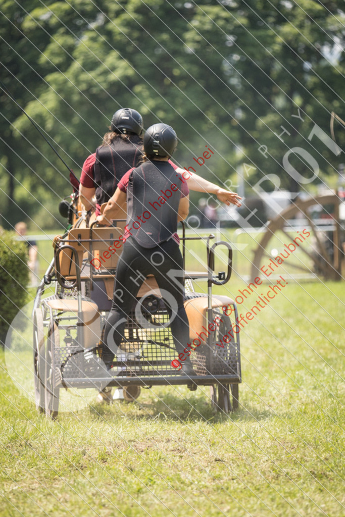 IMG_9368 | Sport-, Event- und Tierfotos in Profiqualität. Einfach auswählen, bestellen und herunterladen. Dein Moment – perfekt festgehalten.