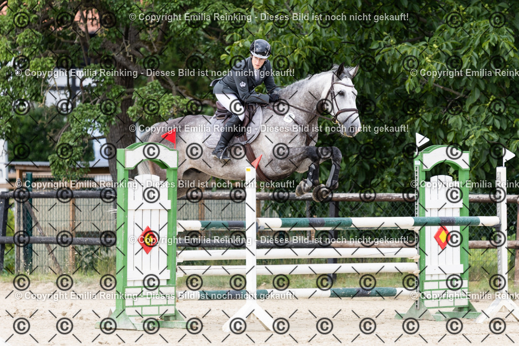 CL5A8317 | Emilia Reinking Fotografie - Realisiert mit Pictrs.com