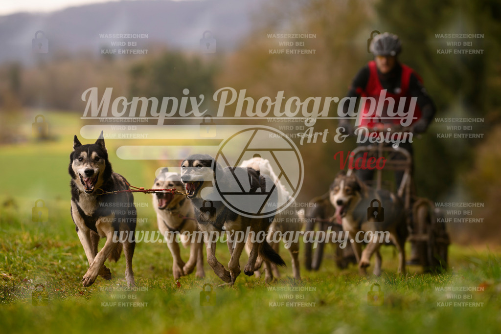 MompixPhotography_2SSTSSBW_2025_SO_Kart-45 | PayLife